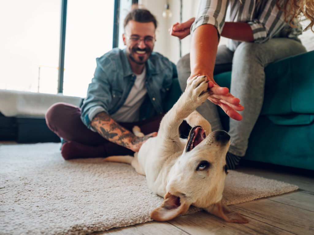 Tattooed man and dog playing joyfully on carpet, both smiling